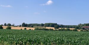 WhatsApp-Image-2025-09-30-at-12.28.09-PM1-300x152 (ਕੈਨੇਡਾ ਦੀ ਪਲੇਠੀ ਫੇਰੀ-2)/  “ਮੇਪਲ ਦੇ ਮੁਲਕ ‘ਚ ਗਰਮੀਆਂ ਦੀ ਰੁੱਤੇ”/ਪ੍ਰੋ. ਜਸਵੰਤ ਸਿੰਘ ਗੰਡਮ