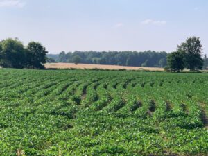 WhatsApp-Image-2025-09-30-at-12.28.09-PM2-300x225 (ਕੈਨੇਡਾ ਦੀ ਪਲੇਠੀ ਫੇਰੀ-2)/  “ਮੇਪਲ ਦੇ ਮੁਲਕ ‘ਚ ਗਰਮੀਆਂ ਦੀ ਰੁੱਤੇ”/ਪ੍ਰੋ. ਜਸਵੰਤ ਸਿੰਘ ਗੰਡਮ