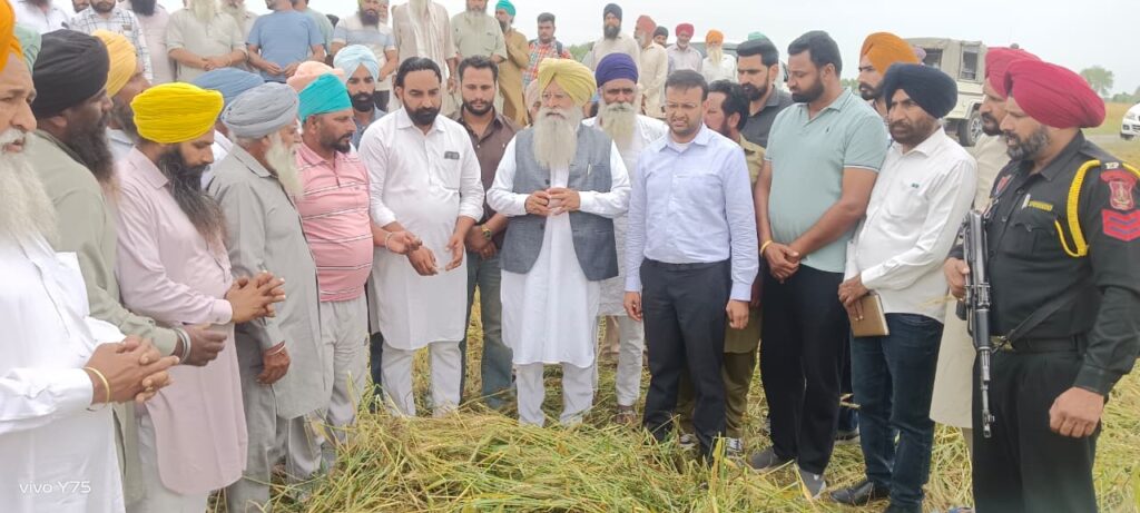 WhatsApp-Image-2026-04-01-at-4.31.19-PM-1024x461 ਕੈਬਨਿਟ ਮੰਤਰੀ ਸ. ਗੁਰਮੀਤ ਸਿੰਘ ਖੁੱਡੀਆਂ ਵੱਲੋਂ ਗੜ੍ਹੇਮਾਰੀ ਨਾਲ ਨੁਕਸਾਨੀ ਕਣਕ ਦੀ ਫਸਲ ਦਾ ਲਿਆ ਜਾਇਜ਼ਾ