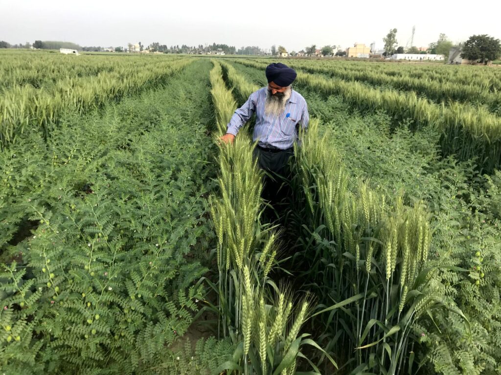 WhatsApp-Image-2026-05-30-at-2.54.16-PM-1024x768 ਖੇਤੀ ਦੇ ਕੁਦਰਤੀਕਰਨ ਦਾ ਮੂਲ ਮੰਤਰ: ਆਕਾਸ਼, ਪਾਣੀ ਅਤੇ ਸਮੇਂ ਦਾ ਸੁਮੇਲ/ ਅਵਤਾਰ ਸਿੰਘ