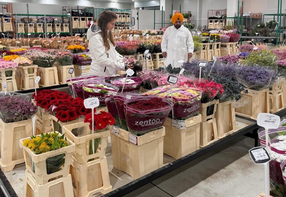 PIC-30-6-2026-2 ਚੇਅਰਮੈਨ ਹਰਚੰਦ ਸਿੰਘ ਬਰਸਟ ਵੱਲੋਂ ਪੈਰਿਸ ਦੀ ਰੁੰਗਿਸ ਇੰਟਰਨੈਸ਼ਨਲ ਹੋਲਸੇਲ ਮਾਰਕੀਟ ਦਾ ਦੌਰਾ