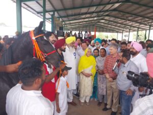 WhatsApp-Image-2026-09-22-at-3.26.40-PM-1-300x225 -ਮਾਤਾ ਹਰਪਾਲ ਕੌਰ ਟਿੱਲਾ ਬਾਬਾ ਫਰੀਦ ਵਿਖੇ ਨਤਮਸਤਕ ਹੋਏ